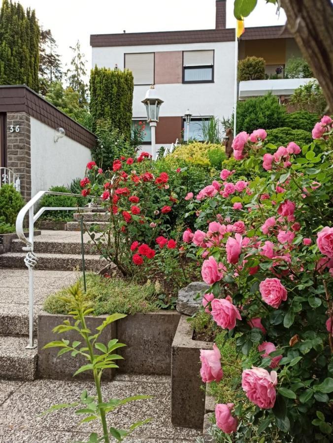 Apartments Gala, Ruhige Lage, Stadtnah 바트키싱엔 외부 사진