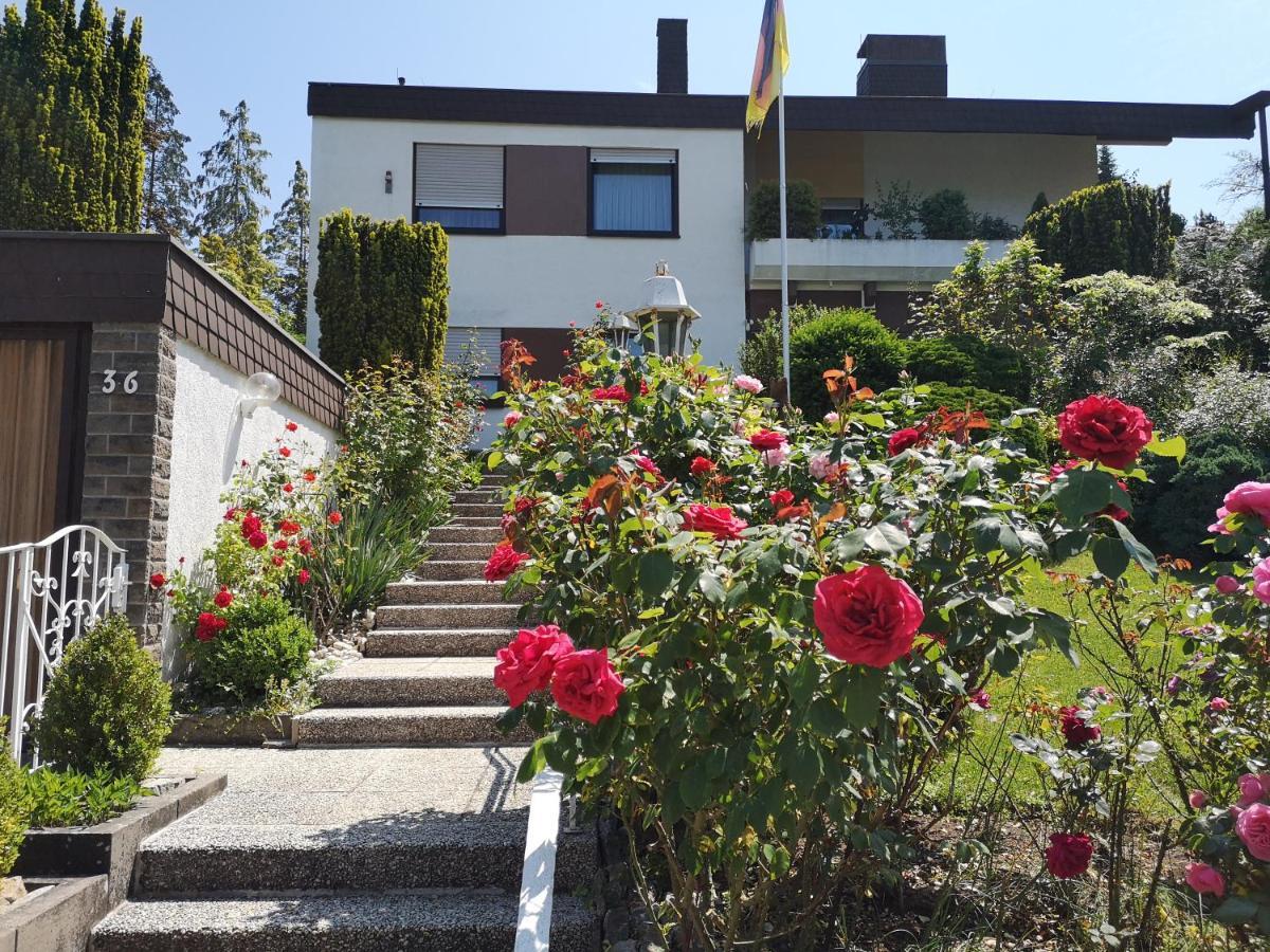 Apartments Gala, Ruhige Lage, Stadtnah 바트키싱엔 외부 사진